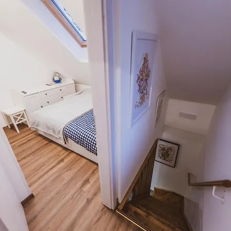 Zarja - Trije Kralji * Zgornja Loznica