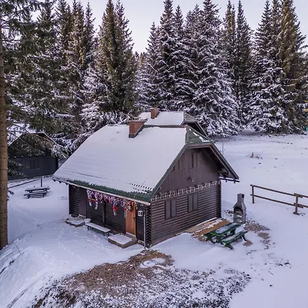 Zarja - Trije Kralji *