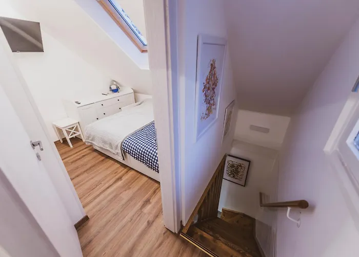 Zarja - Trije Kralji * Zgornja Loznica